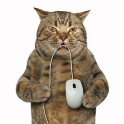 e-commerce en doegly