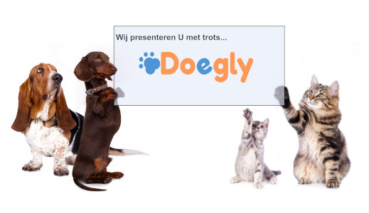 wij presenteren doegly